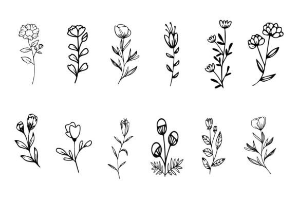 Download Botanical Floral Line Art Elements - Botanical floral Collection