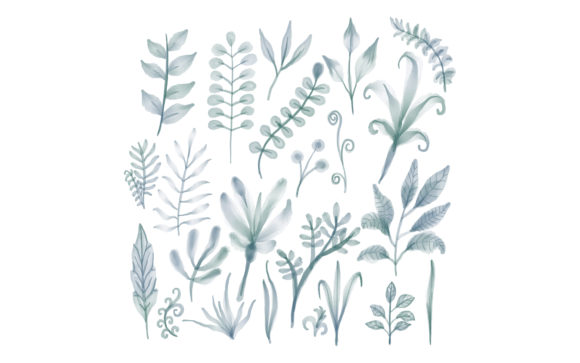 Download Botanical Floral Watercolor Isolated - Botanical floral Collection