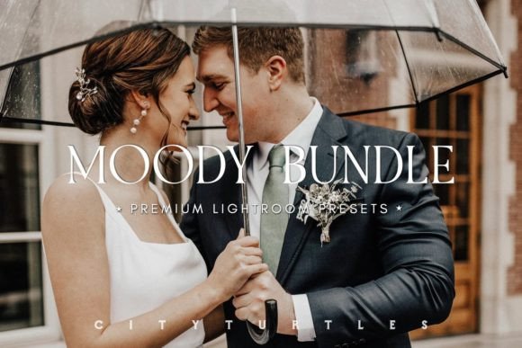 Download MOODY BUNDLE Portrait Lightroom Presets - Moody Collection