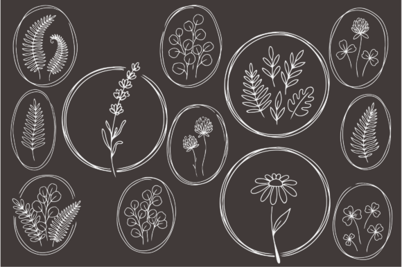 Download Botanical Floral Line Art Frames Bundle - Botanical floral Collection