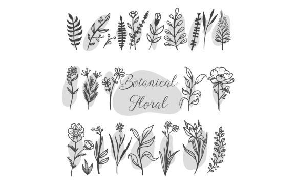 Download Botanical Floral Hand Drawn Isolated - Botanical floral Collection