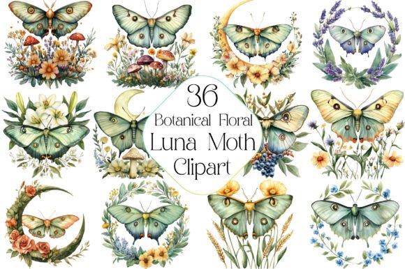 Download Watercolor Botanical Floral Luna Moth - Botanical floral Collection